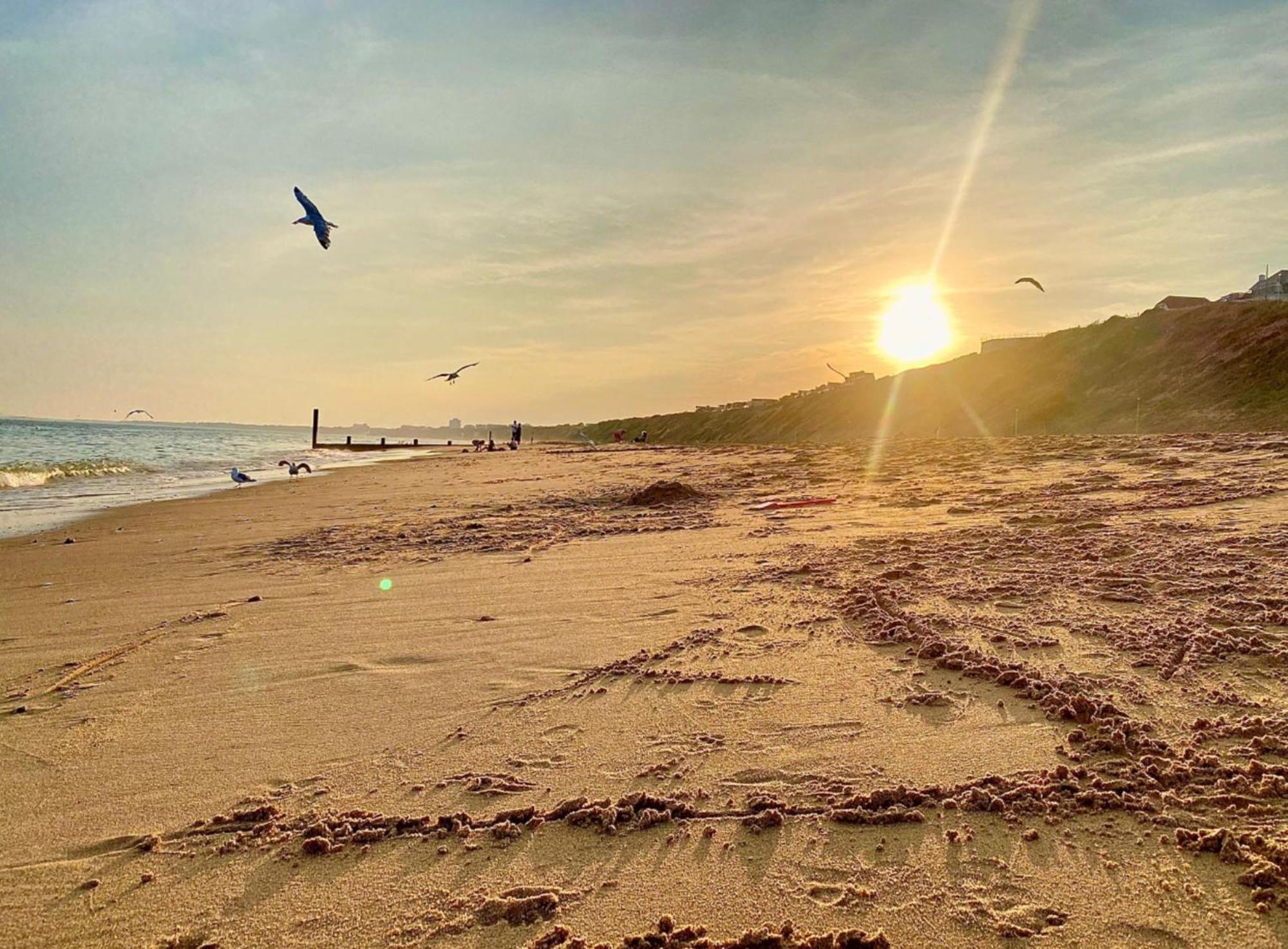 Seaside Escape In Spacious Stylish & Inviting Urban Heights * Bournemouth